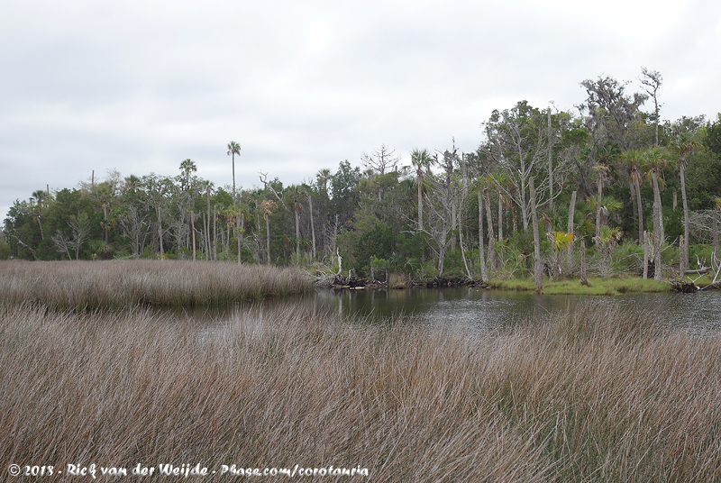 Crystal River Preserve State Park