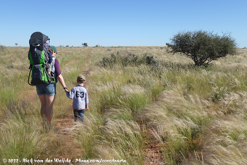 Savanna Birding