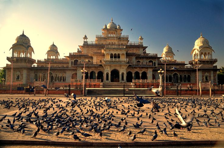 Best Travel Packages Unveiling the Beauty of India