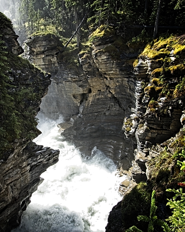 October 2019 - Nature Untouched by Dennis Adams