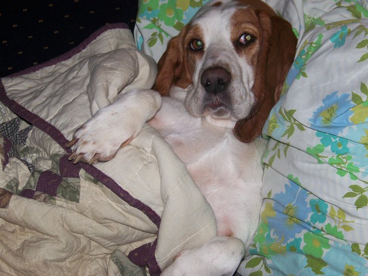 Maggie