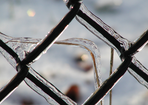 Iced Fence.jpg