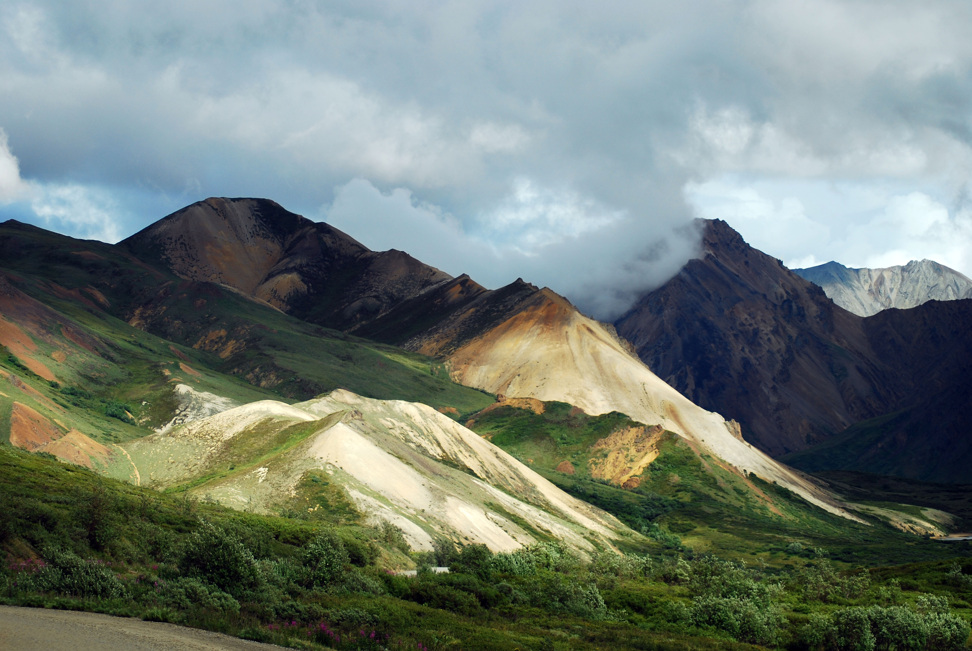 Denali 1.jpg