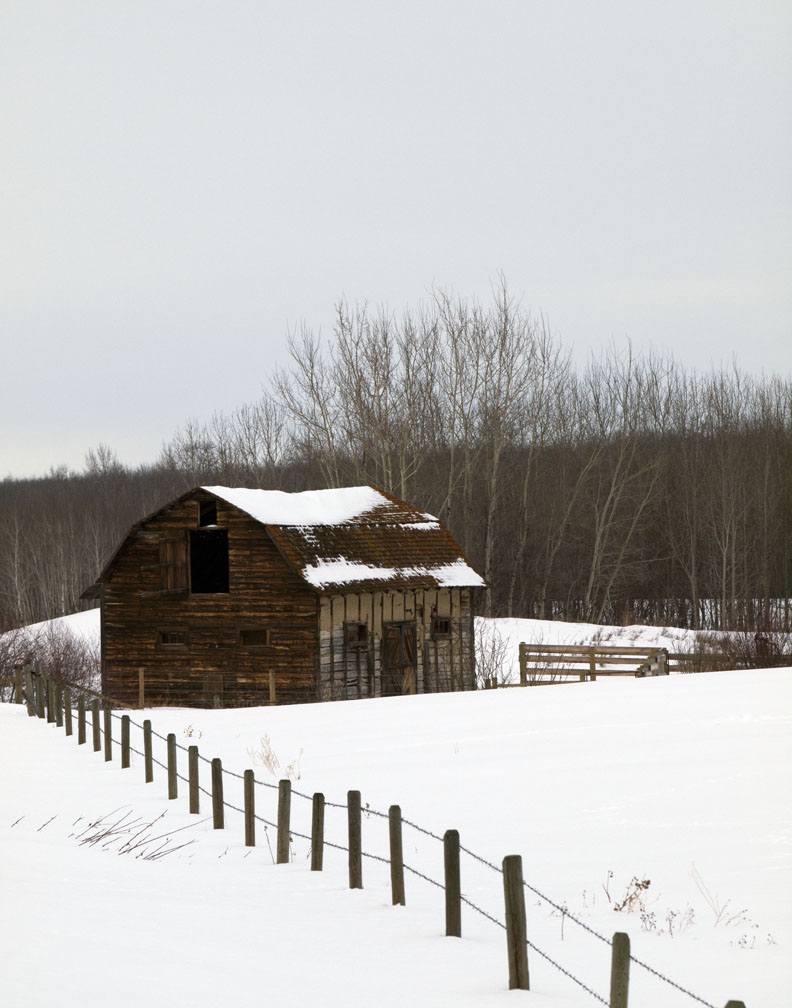 pb03-21-11-095.jpg