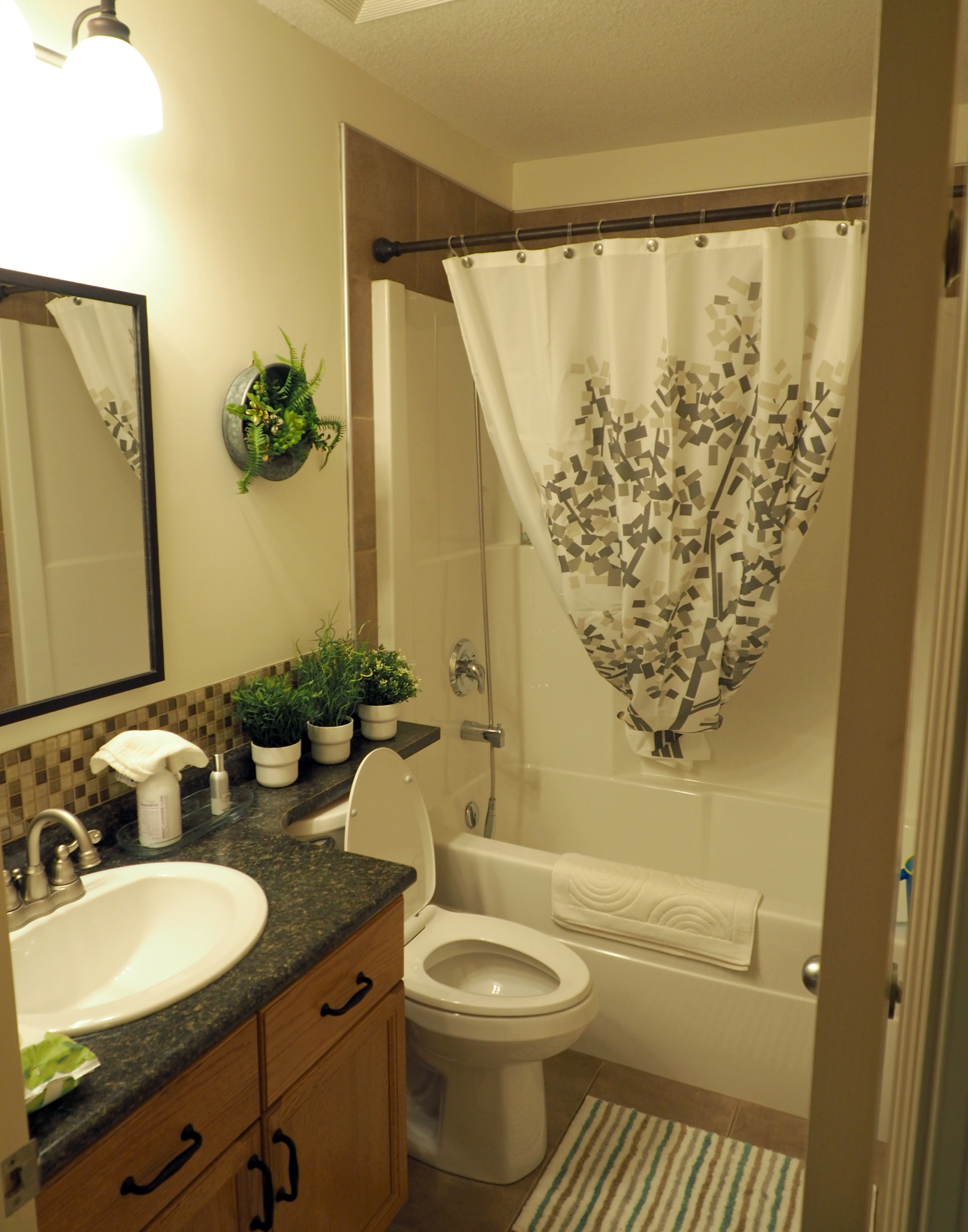 Main Bath.JPG
