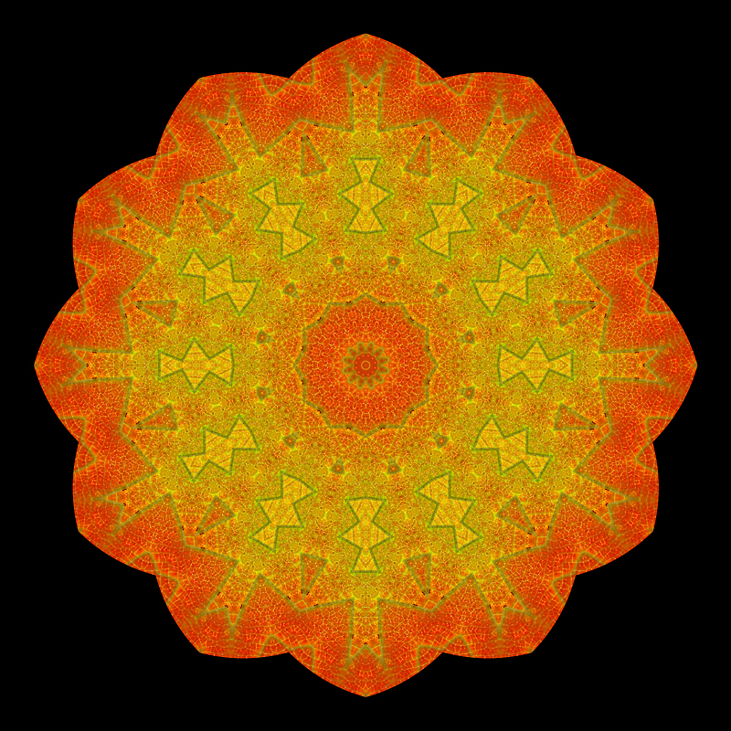 Evolved kaleidoscope created with an autumn leaf in October