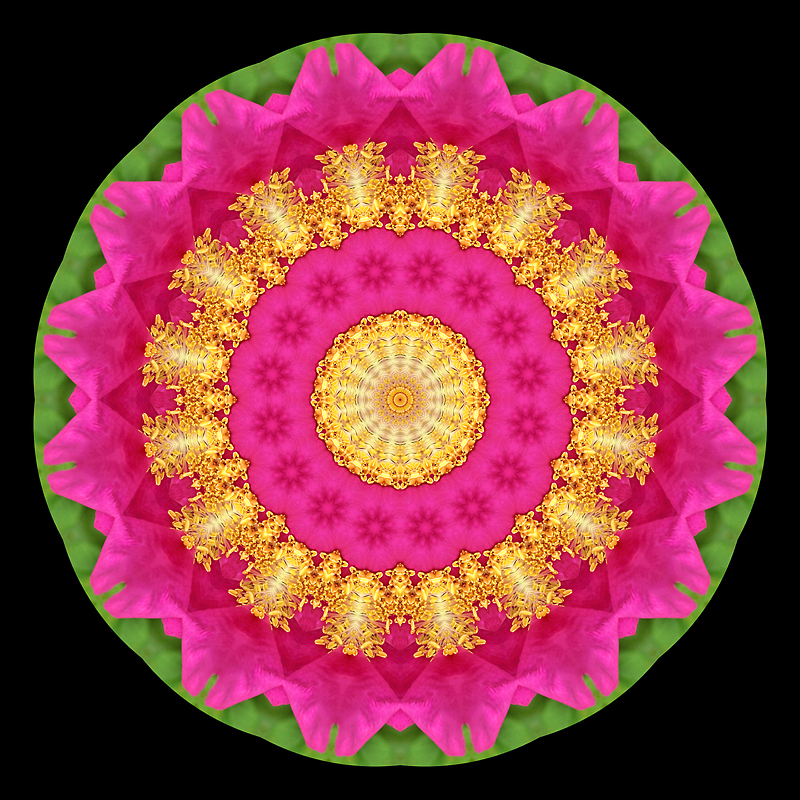 Evolved kaleidoscope created out of a kaleidoscopic picture I did one day earlier