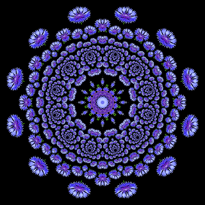 Evolved kaleidoscope created with spiral arrangement