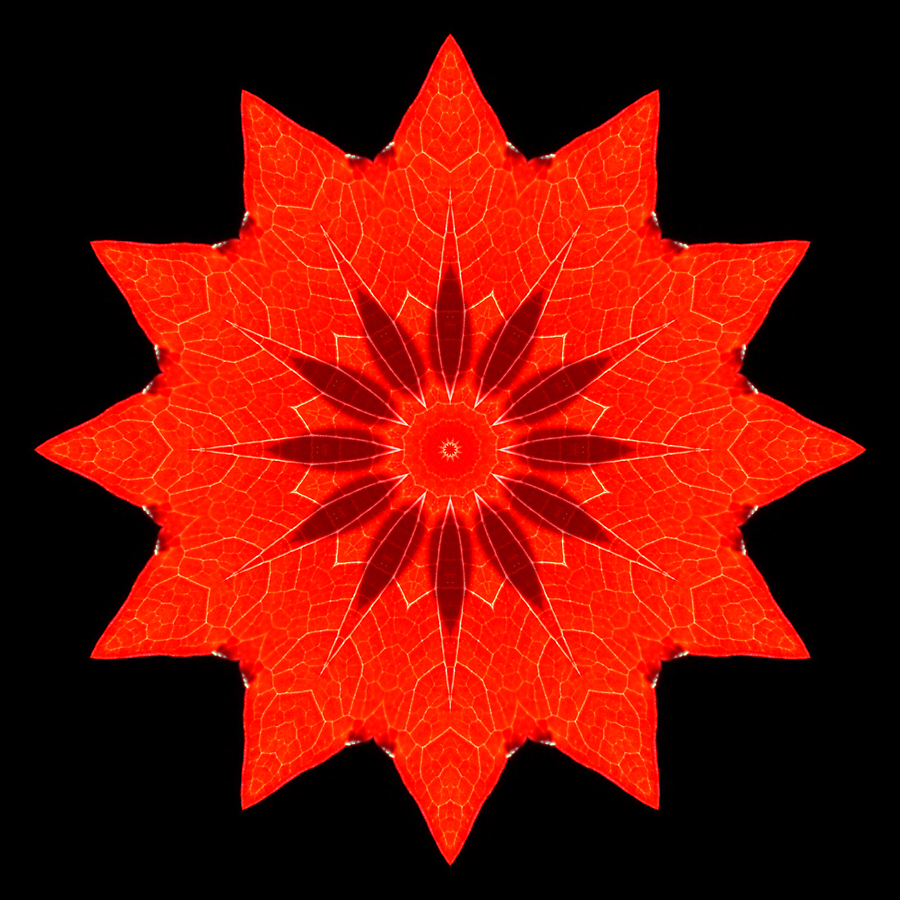 Kaleidoscope created with a red leaf seen at the forest in October