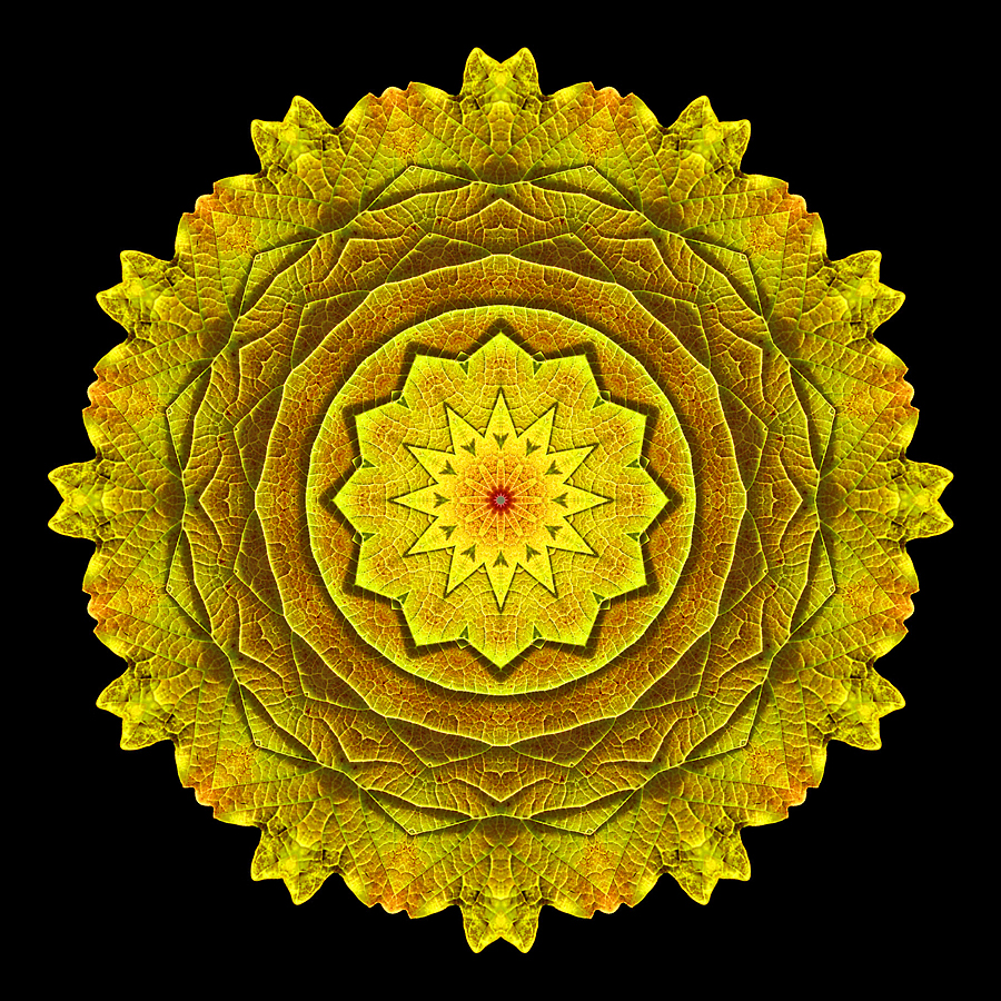 Kaleidoscope created with a yellow leaf seen at the forest in October