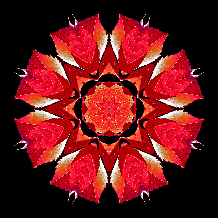 Kaleidoscopic picture created with a red autumn leaf seen in October