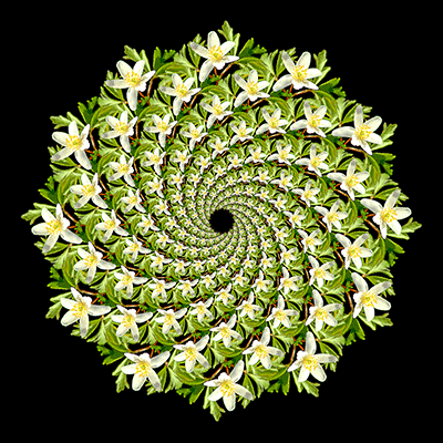 o12/54/24354/1/172491009.bZVb4m2h.400Spiral3.gif
