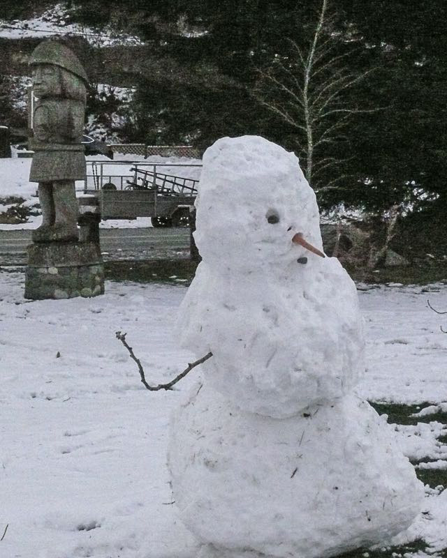 Ed TajeSnowman and Carving Cowichan Bay