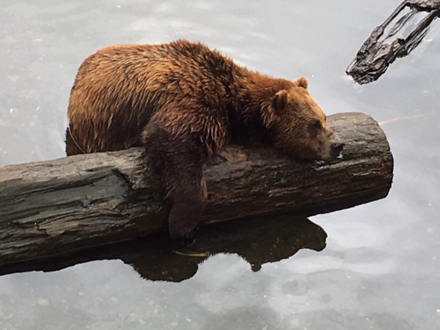 Melanie Fugard2019 Mar. Evening FavouritesTheme: Worn OutCan't Bear it Anymore - 3rd