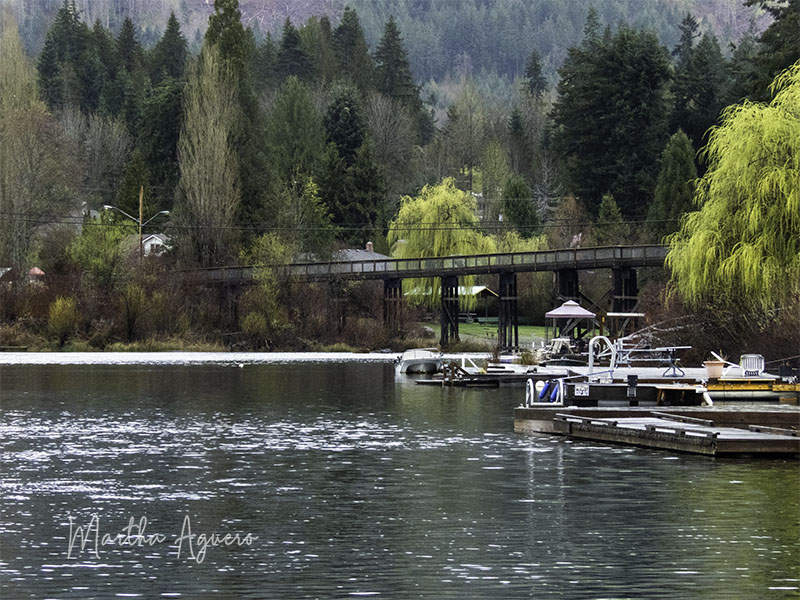 Martha AgueroApr 7 Cowichan Lake