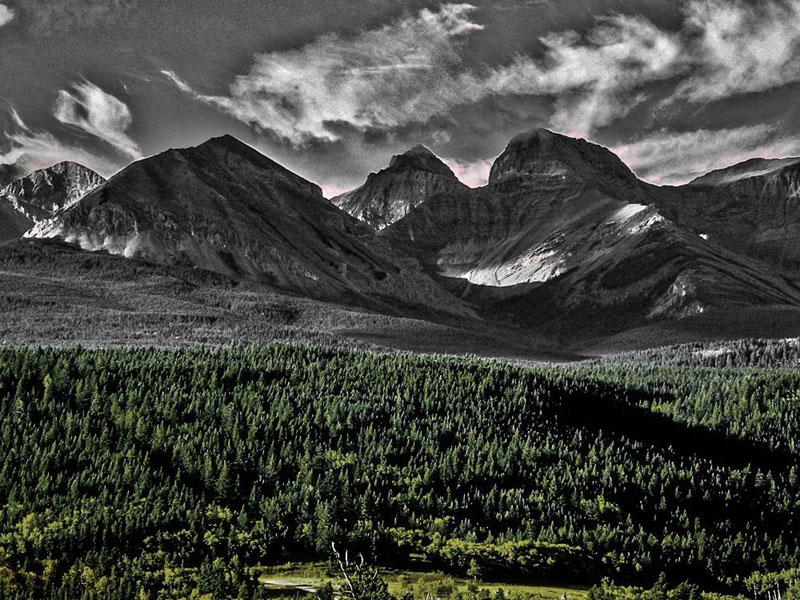 Ed Taje2019 June Evening FavouritesTheme: SnowFlathead Alberta-BC Border - 3rd