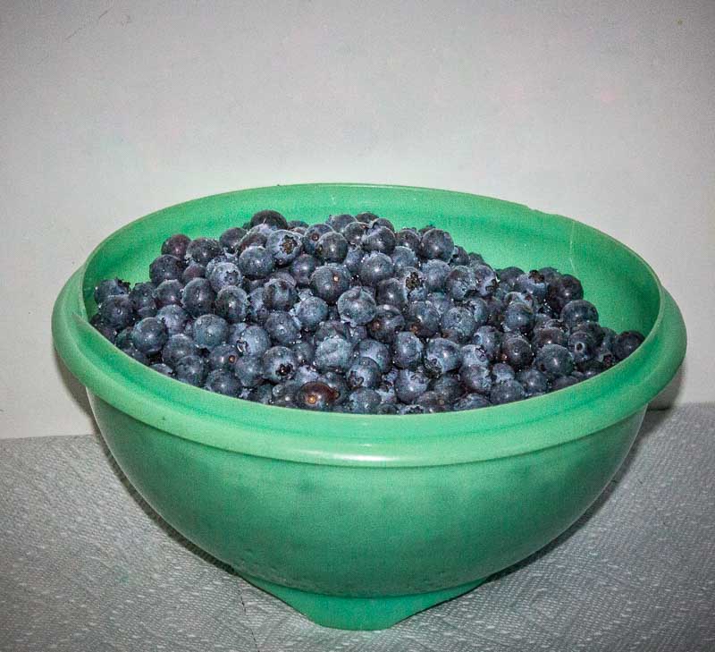 Carl Erland  Fresh Blueberries 