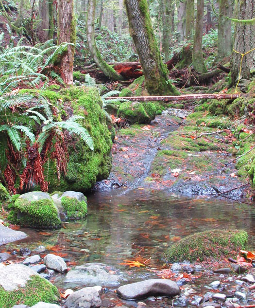 Willie HarvieA trickle of water