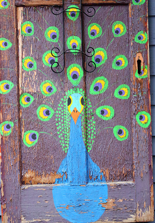 Peacock DoorWillie Harvie
