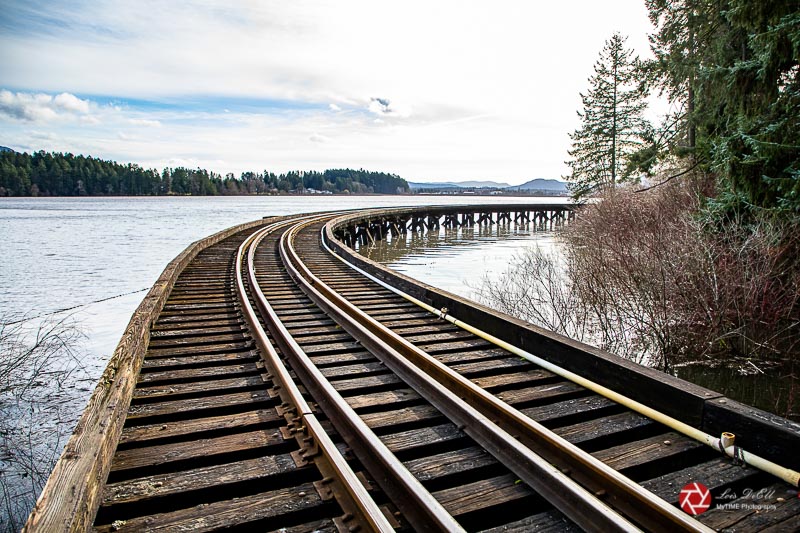 Lois DeEllSomenos Lake Trestle