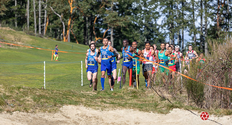 Lois DeEllRunning Together