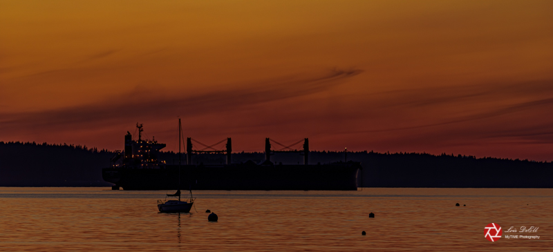 Lois DeEll12 - Silhouette