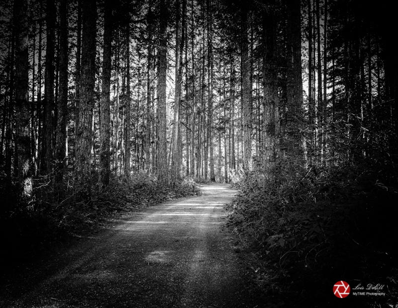 Lois DeEll11 - The Road