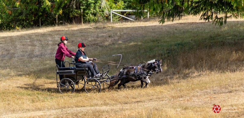 Lois DeEllDriving Through the Lower Field