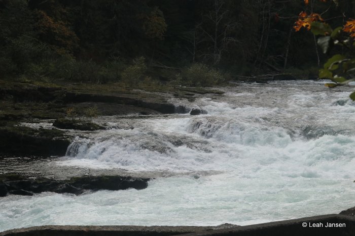 Leah JansenFast Rapids