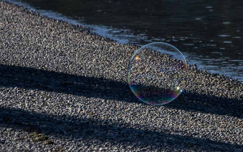 Carl Erland  Beach Bubble
