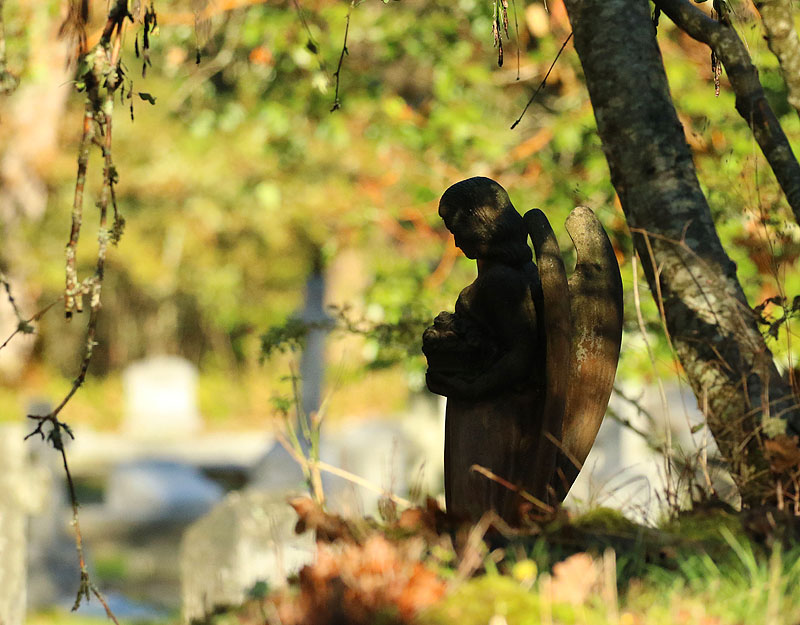 Willie HarvieGuardian of the cemetery