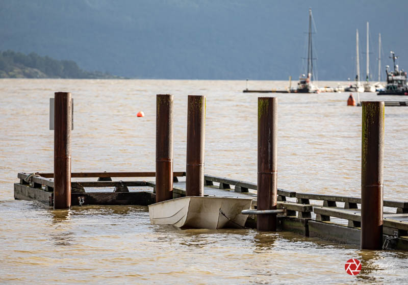 Lois DeEllAt High Tide