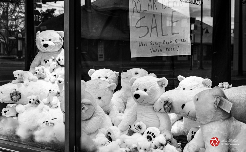 Lois DeEllPolar Bear Sale 