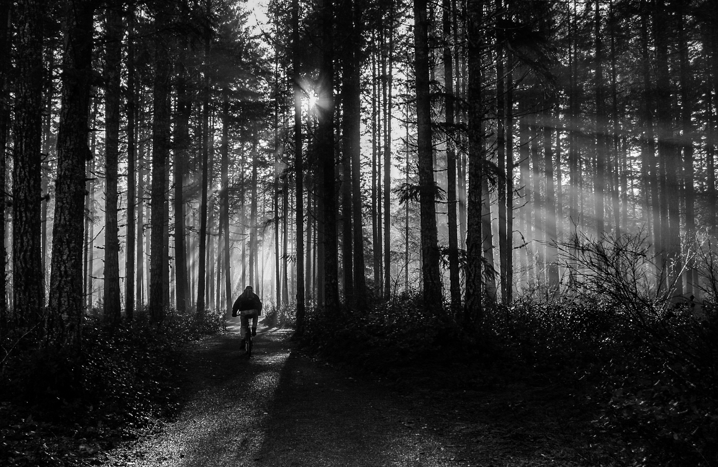 Carl Erland<br>2021 CAPA Monochrome<br>Into the Light<br>Points: 22.0