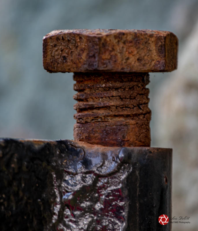 Lois DeEllCowichan Close-Up2021 MarchRusty Bolt Study