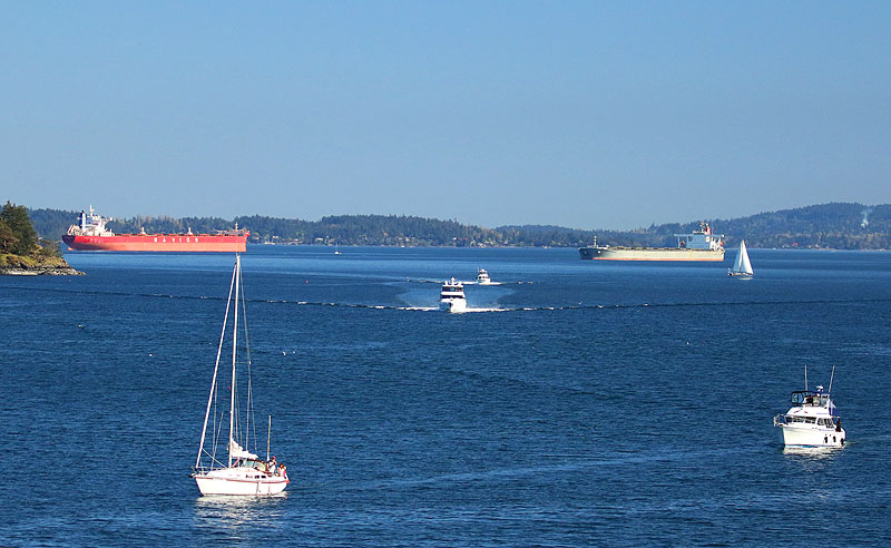 Willie HarvieCowichan Valley MarinasApril 2021Heading back to the dock