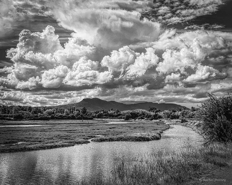 Rachel Penney2021 May London DrugsTheme: The Sky's the LimitSummer Billows Over Warmland