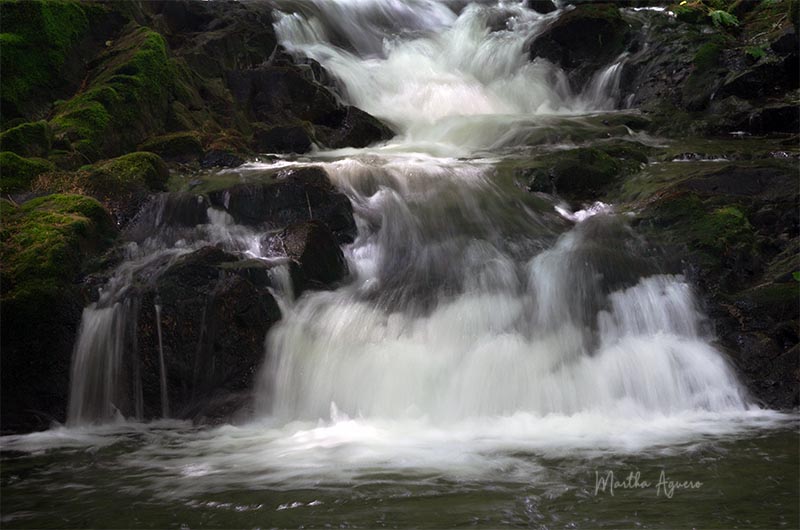Martha Aguero Water Landscape - June 2021Base of the Falls