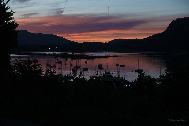 Rachel PenneyCowichan Bay Sunset and Silhouettes