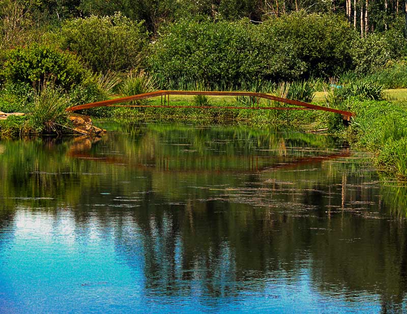 Ed Taje<br>Water Landscapes June 2021<br>Bridge on the Lake