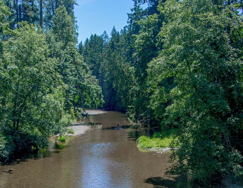 Ed TajeWater Landscapes June 2021 Keeping Cool in the River