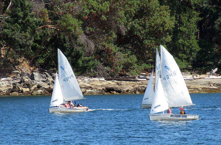 Willie HarvieOutdoor Summer Fun - July 2021NYC Sailing School