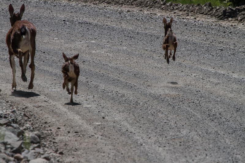 Carl ErlandJuly 3, 2021Road Congestion