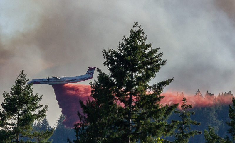 Carl Erland  The ForestAugust 2021Payload Drop