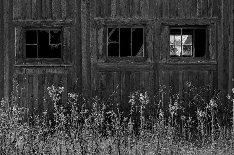 Racine ErlandSeptember 2021Windows from the Past