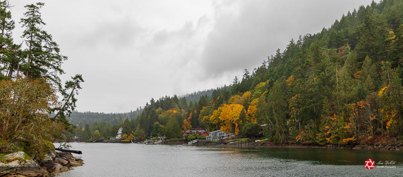 Lois DeEllMaple Bay Marina Field TripOctober 2021Maple Bay Colours