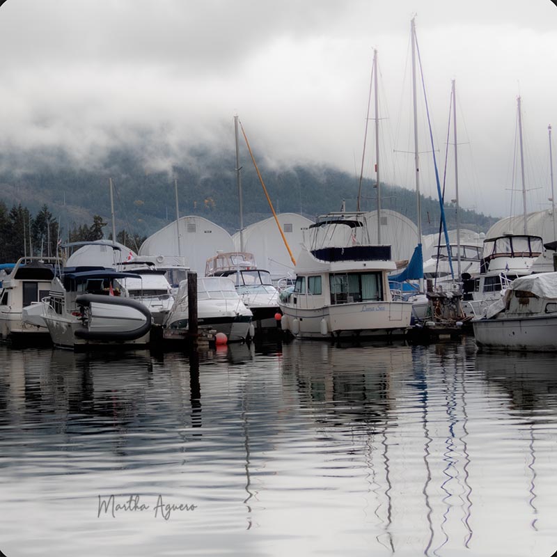 Martha AgueroField Trip - Maple Bay Marina - Genoa Bay  October 17 2021 Under the mist