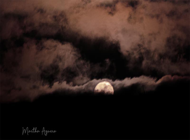 Martha Aguero  August 2021 Blue Moon