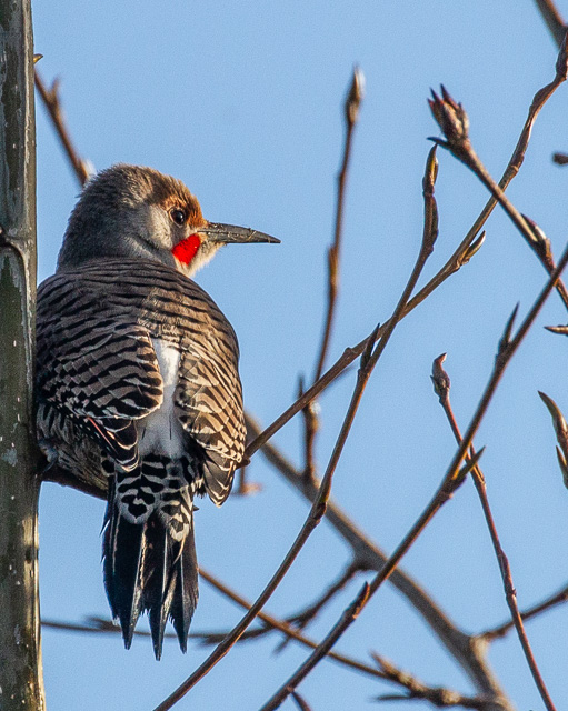 Carl Erland November 2021Flicker