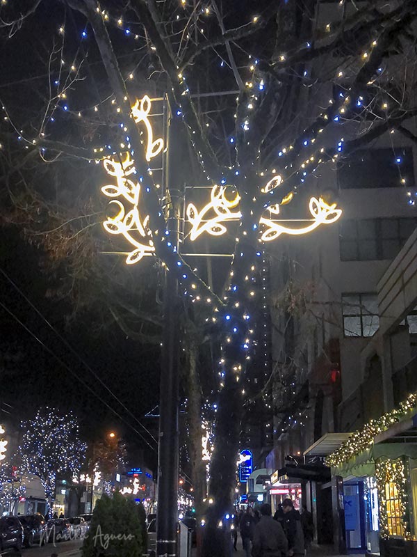 Martha AgueroNovember 2021 Christmas Lights at Robson Street